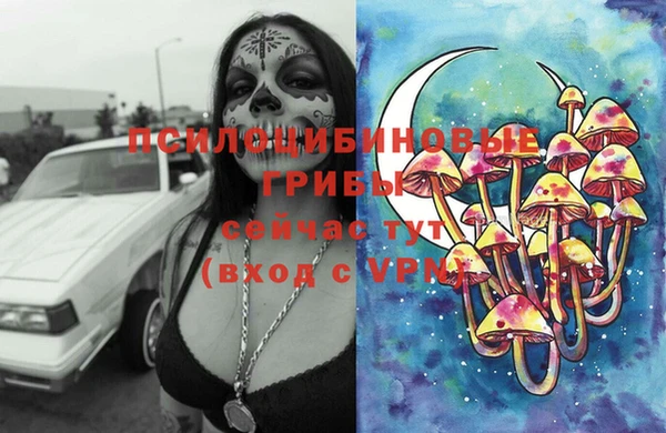 прущие крисы Алексин