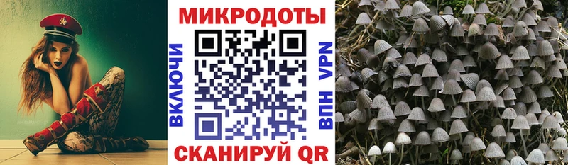 Галлюциногенные грибы Cubensis хочу ОМГ ОМГ зеркало Юрьев-Польский